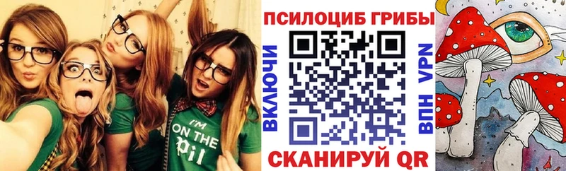 Псилоцибиновые грибы прущие грибы  OMG вход  Чусовой 